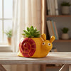 Snail Clay Flower Pots