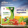 Multiplex Allbor +
