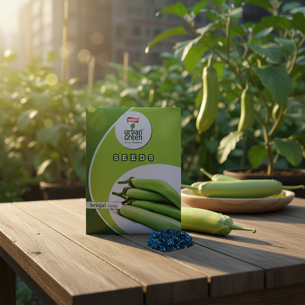 Brinjal Long Seeds