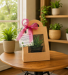 Premium Kraft Window Plant Gift