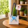 Premium Eco Bloom Plant Gift