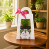 Premium Plant Gift Hamper