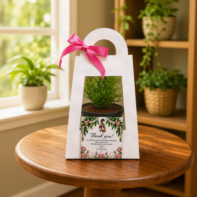 Premium Plant Gift Hamper