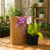 Premium Eco Bag Plant Gift
