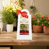 Premium Window Gift Pot