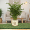 A cylindrical beige ceramic plant pot with a textured pattern and a gold-toned base, displayed on a strip of artificial green grass against a plain light background.