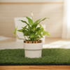 A white cylindrical planter pot with a shiny gold metallic rim, displayed on a strip of green artificial grass over a wooden surface against a plain beige wall.