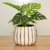 Ceramic pot with gold stripes on a green mat