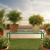 Metal Planter Stand Apollo Stand Green Set Of 2