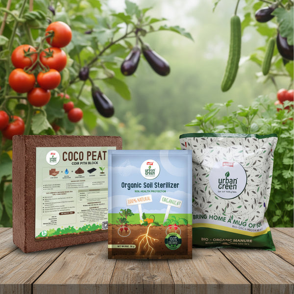 Seed Germination Starter Kit for Healthy Plant Growth