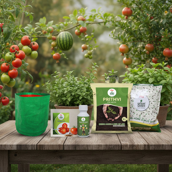Tomato Growing Kit