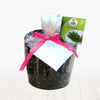 Gift Seed Pot