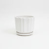 Elegant Decorative White Ceramic Pot