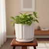 Elegant Decorative White Ceramic Pot
