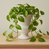 Vase Decorative White Ceramic Pot