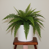 Elegant White Ceramic Pot