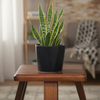 Prism Ceramic Decorative Planter Pot