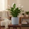 Aurora Vertical Groove Planter Pot