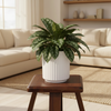 Aurora Vertical Groove Planter Pot
