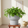 Ribbed Ceramic Pedestal Planter Pot