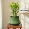 Floral Harmony Ceramic Planter Pot