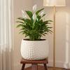 Decorative Fluted Planter Pot