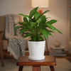 Elegant White Ceramic Pot