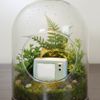 A miniature light blue toy television set with a blank white screen, placed on a strip of green artificial grass above a wooden surface against a plain off-white wall.