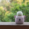 A small purple koala-shaped decorative object with pink ears and a black nose, standing on green artificial grass against a plain light gray background.