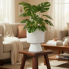 Modern White Fluted Ceramic Planter Pot