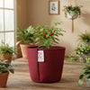 Durable Root-Friendly Red Grow Bag Small