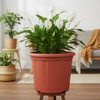 remium Garden Pot