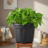 Classic Round Garden Pot