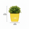 Premium Indoor & Outdoor Wood Finish Pot