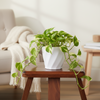 Plastic Swirl Flower Pot