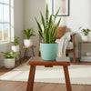 Minimalist Cylinder Plastic Nursery Pot
