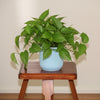 Modern Grain Planter Pot