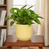 Modern Grain Planter Pot