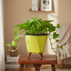Plastic Tripod Planter Pot