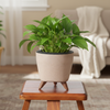Nordic Style Plastic Flower Pot