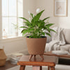 Nordic Style Plastic Flower Pot