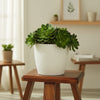 Texture Plastic Planter