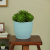 Texture Plastic Planter