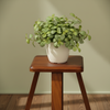 Stella White Plastic Pot