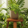 Verona Diamond Plastic Pot Planter