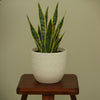 Verona Diamond Plastic Pot Planter