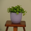 Verona Diamond Plastic Pot Planter