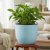 Verona Diamond Plastic Pot Planter
