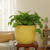 Verona Diamond Plastic Pot Planter