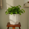 Shera Plastic Flower Pot